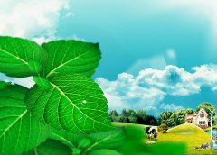 广告片《薄荷槟榔》30+15秒版