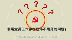 二维动画《发展党员的基本流程》
